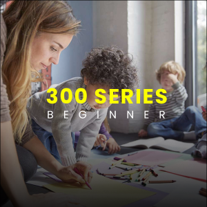 300 Series
